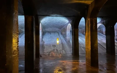 Hvordan ser angst ud? Hvordan slipper jeg fri af angst?